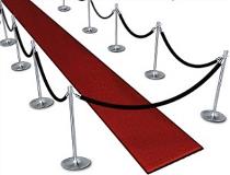 Black Velvet Stanchions with Red Carpet